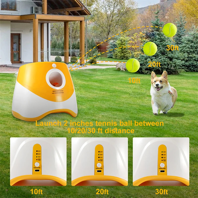 AutoFetch: The Ultimate dog ball launcher for non stop-fun for your furry friend.