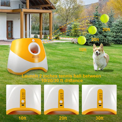 AutoFetch: The Ultimate dog ball launcher for non stop-fun for your furry friend.