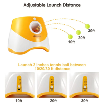 AutoFetch: The Ultimate dog ball launcher for non stop-fun for your furry friend.