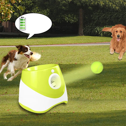 AutoFetch: The Ultimate dog ball launcher for non stop-fun for your furry friend.